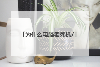 为什么电脑老死机/