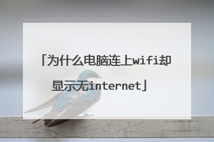 为什么电脑连上wifi却显示无internet