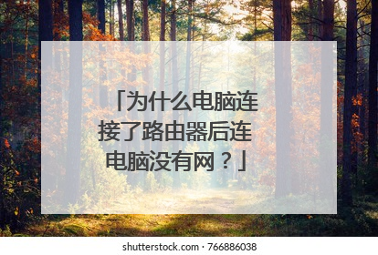 为什么电脑连接了路由器后连电脑没有网?