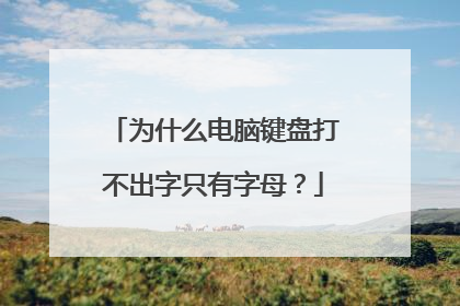 为什么电脑键盘打不出字只有字母？