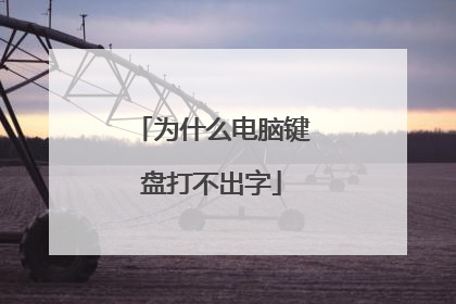 为什么电脑键盘打不出字