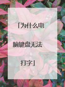 为什么电脑键盘无法打字
