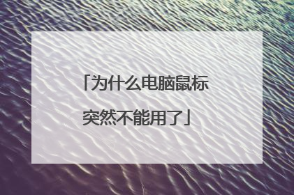 为什么电脑鼠标突然不能用了