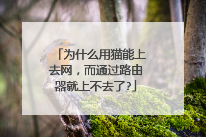 为什么用猫能上去网，而通过路由器就上不去了?