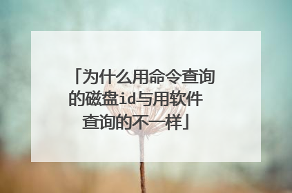 为什么用命令查询的磁盘id与用软件查询的不一样