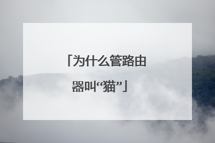 为什么管路由器叫“猫”
