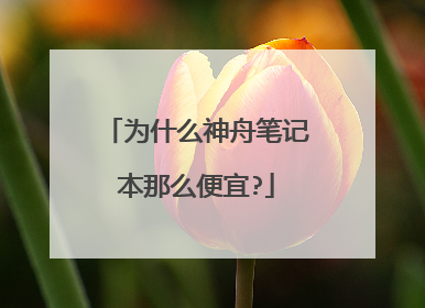 为什么神舟笔记本那么便宜?