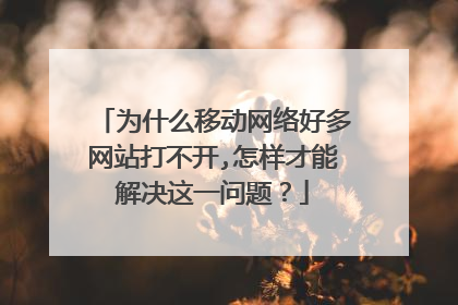 为什么移动网络好多网站打不开,怎样才能解决这一问题?