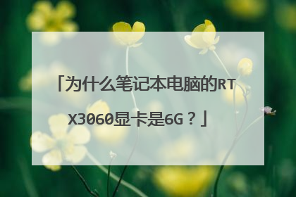 为什么笔记本电脑的RTX3060显卡是6G？