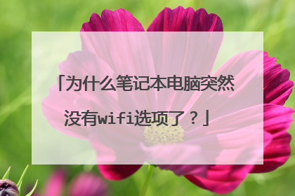 为什么笔记本电脑突然没有wifi选项了？
