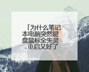为什么笔记本电脑突然键盘鼠标全失灵.重启又好了怎么回事？