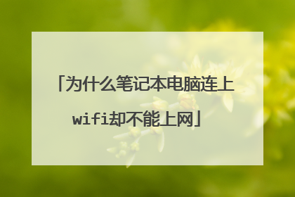 为什么笔记本电脑连上wifi却不能上网