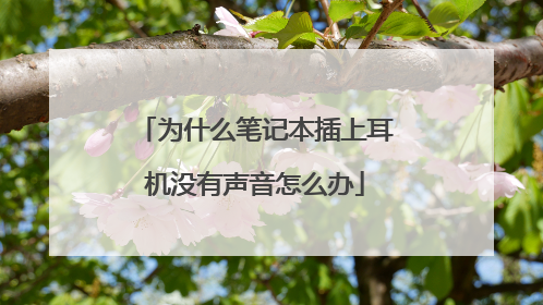 为什么笔记本插上耳机没有声音怎么办