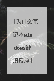 为什么笔记本windows键没反应