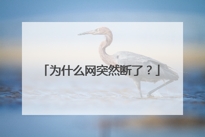 为什么网突然断了？