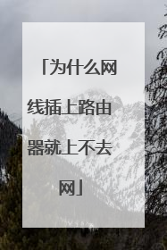 为什么网线插上路由器就上不去网