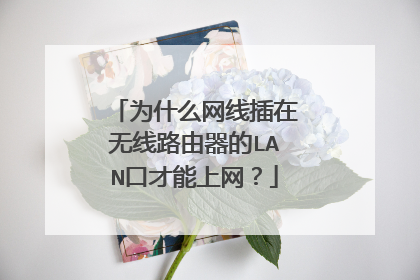 为什么网线插在无线路由器的LAN口才能上网?
