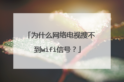 为什么网络电视搜不到wifi信号?