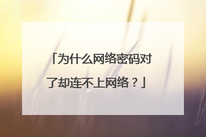 为什么网络密码对了却连不上网络？