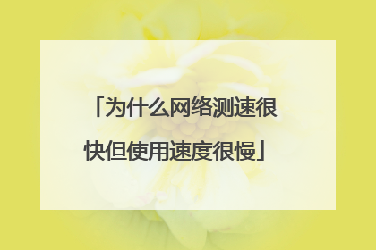 为什么网络测速很快但使用速度很慢