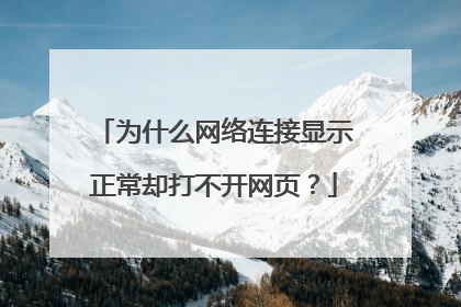 为什么网络连接显示正常却打不开网页？
