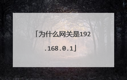 为什么网关是192.168.0.1