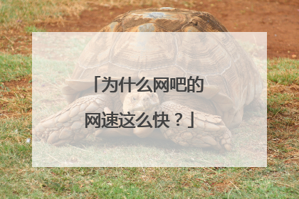 为什么网吧的网速这么快？