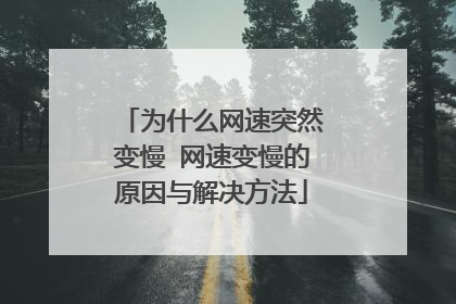 为什么网速突然变慢 网速变慢的原因与解决方法