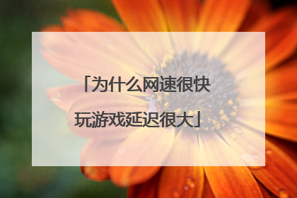 为什么网速很快玩游戏延迟很大