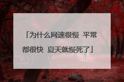 为什么网速很慢 平常都很快 夏天就慢死了