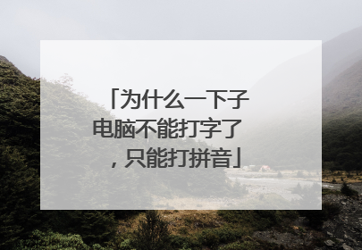 为什么一下子电脑不能打字了，只能打拼音