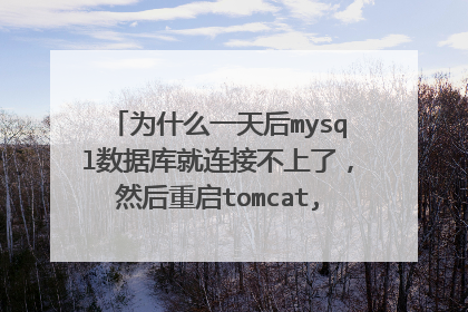 为什么一天后mysql数据库就连接不上了，然后重启tomcat,又能够连接上了？