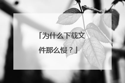 为什么下载文件那么慢？