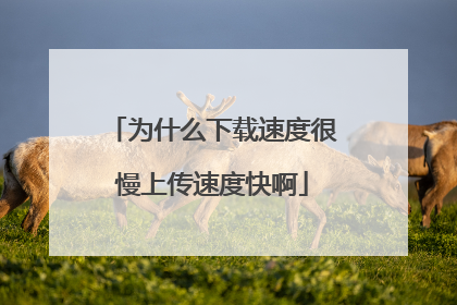 为什么下载速度很慢上传速度快啊