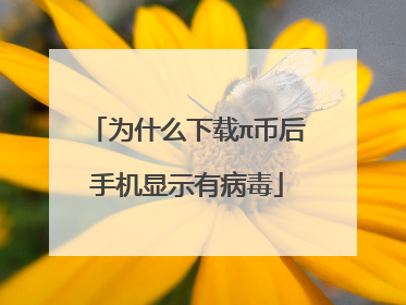 为什么下载π币后手机显示有病毒