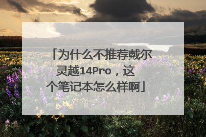 为什么不推荐戴尔灵越14Pro,这个笔记本怎么样啊