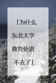 为什么东北大学教务处进不去了