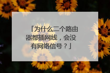 为什么二个路由器都插网线，会没有网络信号？