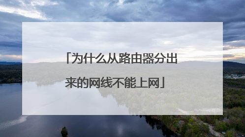 为什么从路由器分出来的网线不能上网