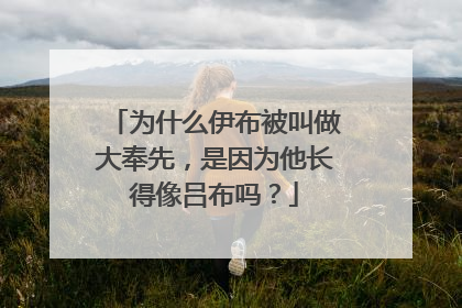 为什么伊布被叫做大奉先，是因为他长得像吕布吗？