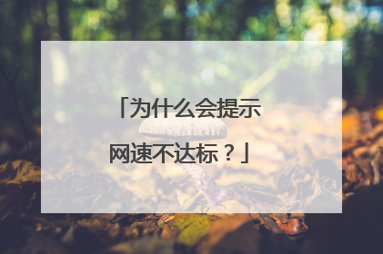 为什么会提示网速不达标?