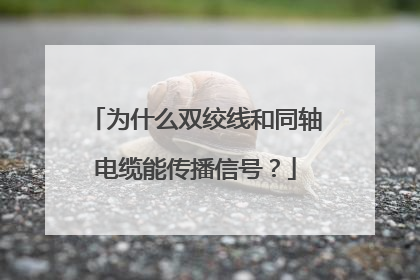 为什么双绞线和同轴电缆能传播信号？