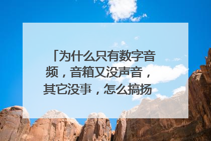 为什么只有数字音频,音箱又没声音,其它没事,怎么搞扬声器设备。。 急