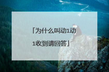 为什么叫动1动1收到请回答
