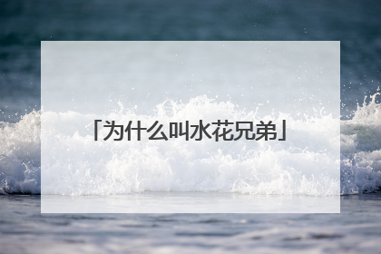 为什么叫水花兄弟