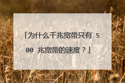 为什么千兆宽带只有 500 兆宽带的速度?