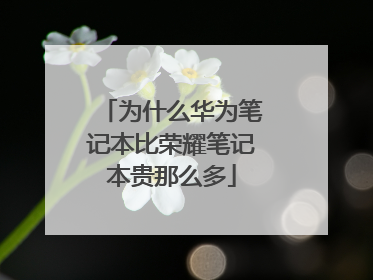 为什么华为笔记本比荣耀笔记本贵那么多