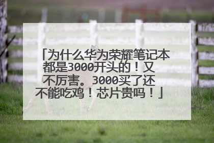 为什么华为荣耀笔记本都是3000开头的！又不厉害。3000买了还不能吃鸡！芯片贵吗！
