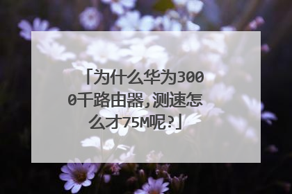 为什么华为3000千路由器,测速怎么才75M呢?