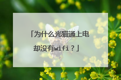 为什么光猫通上电却没有wifi？